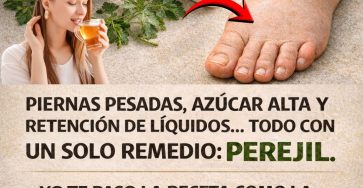 651279897 122158801598943773 3750916380173439096 n