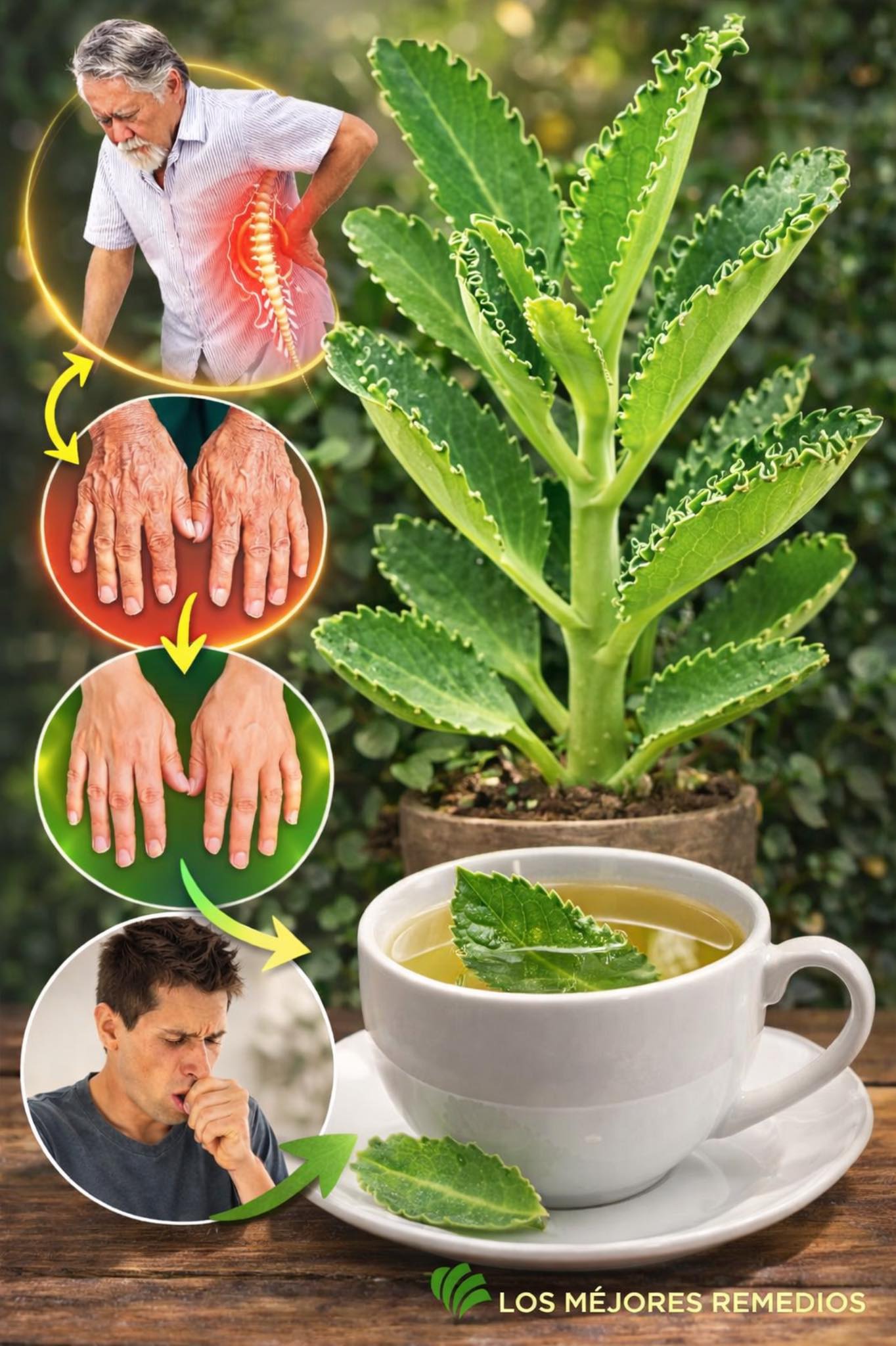 652645097 1501161141570590 1577179222678346192 n