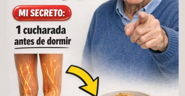 652950310 122159700200943773 7394617523172337124 n