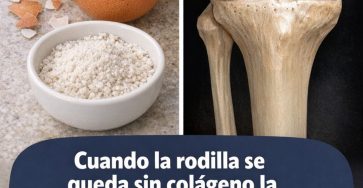 653705348 122159579174943773 9107973957296465263 n