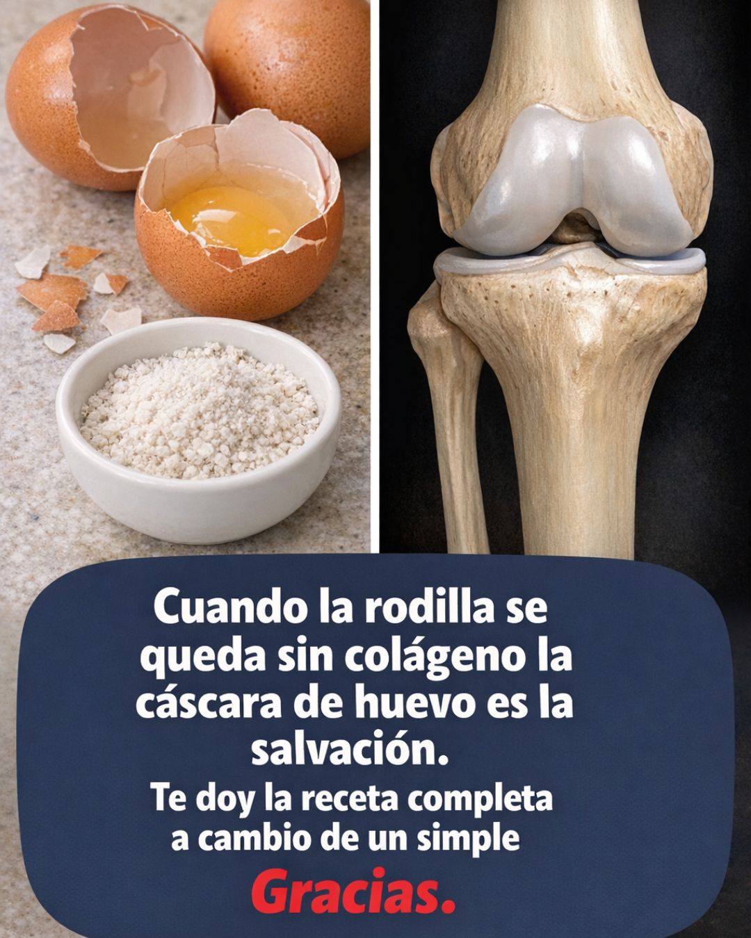 653705348 122159579174943773 9107973957296465263 n