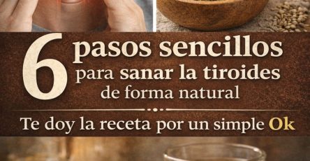 653705430 122159201858943773 620719748689508895 n