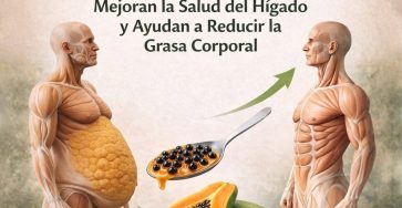 653866528 1569296041392342 5739661688487302067 n