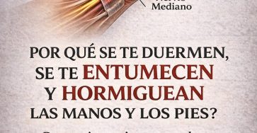 653919397 1502361458117225 3047758652469174158 n