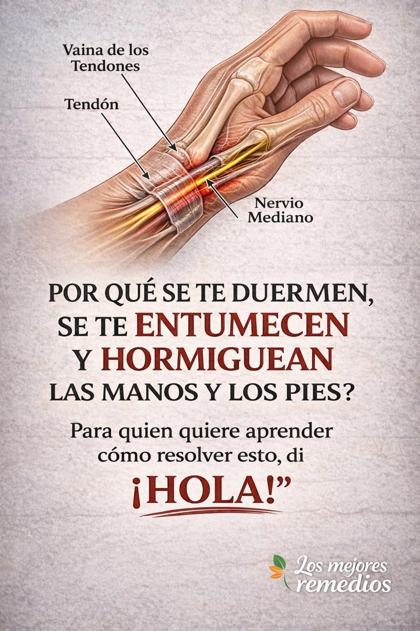 653919397 1502361458117225 3047758652469174158 n