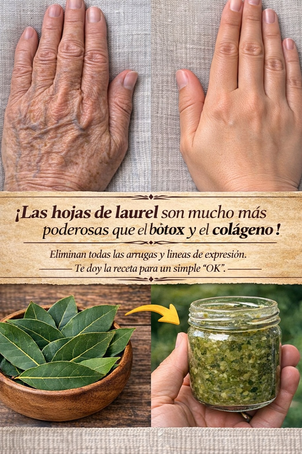 654189544 122116853595176057 4399620377180660551 n (1)