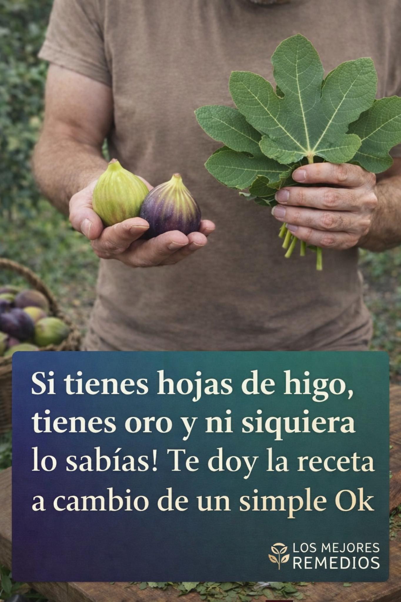 656469171 1508496387503732 4565090078878564629 n