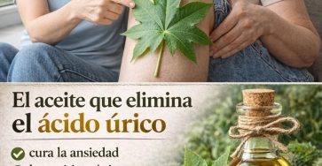 657059838 1507552667598104 1896177246383536409 n