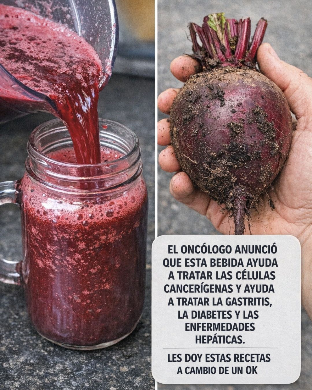 658316756 122151844670971843 2203943711562833073 n