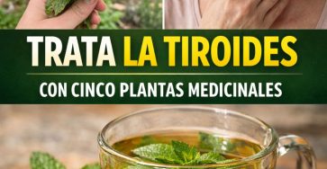 658985439 122161946174943773 204396673698339316 n