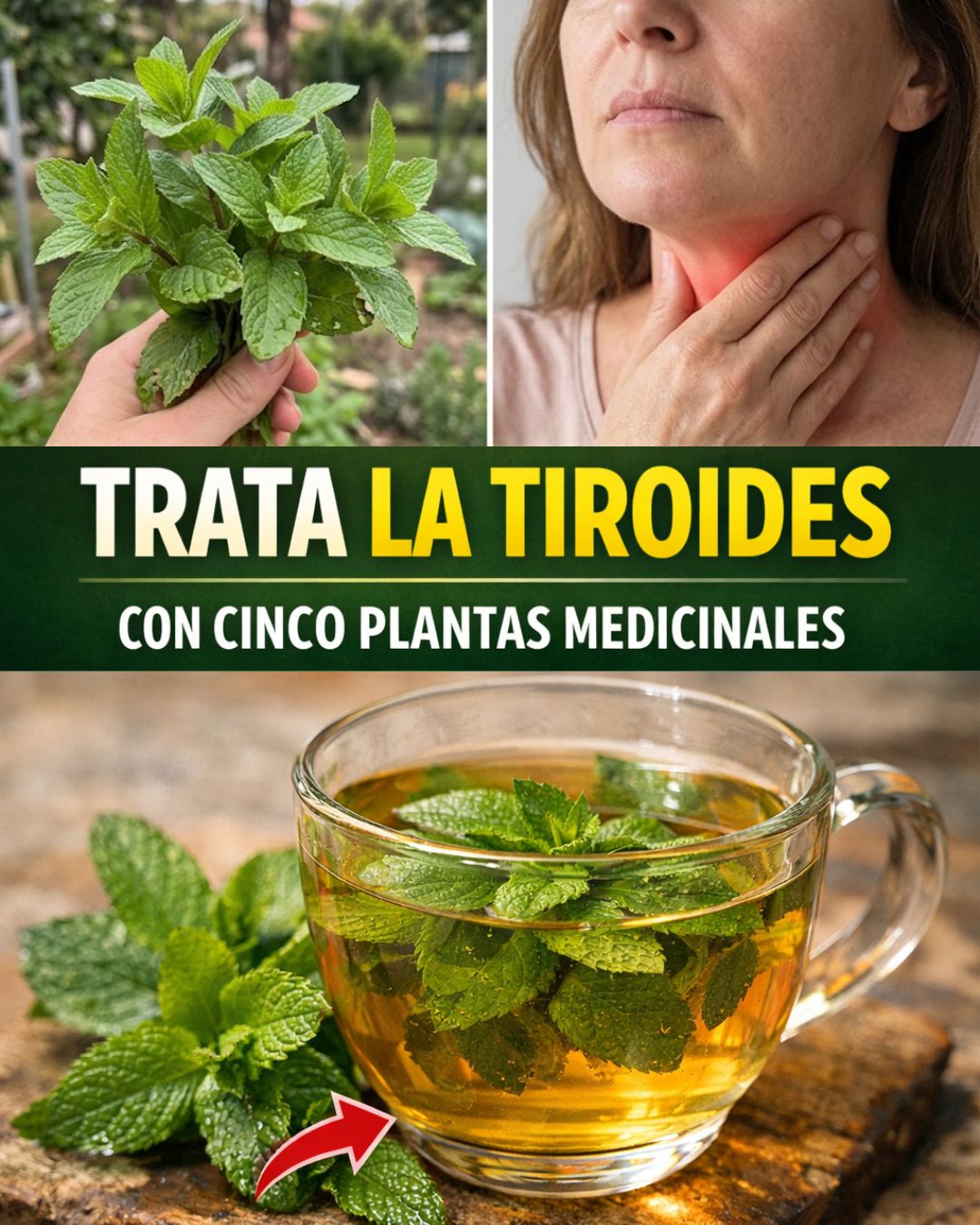 658985439 122161946174943773 204396673698339316 n