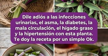 659000993 122161718366943773 6579029738559088549 n