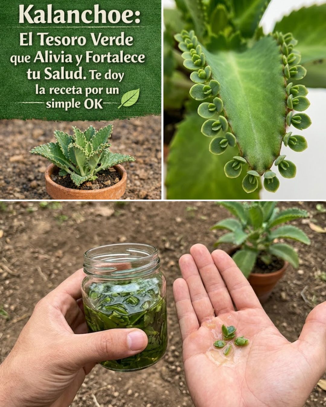 659104211 122168383154924909 950003506299039672 n