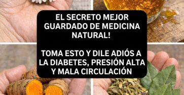 659234491 122161869806943773 7972367409580626812 n