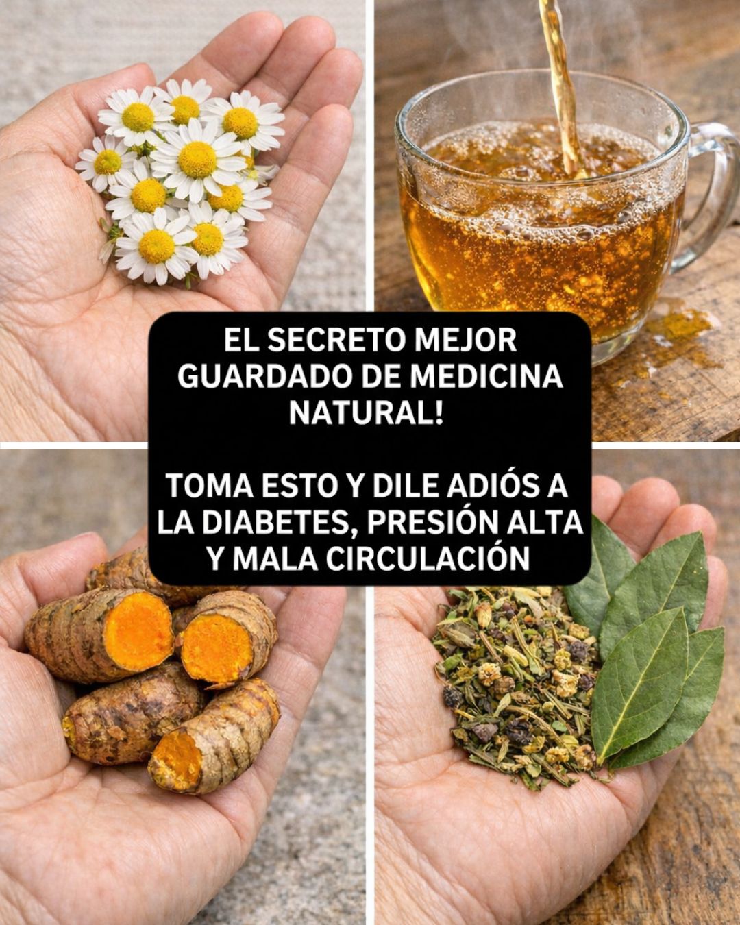 659234491 122161869806943773 7972367409580626812 n