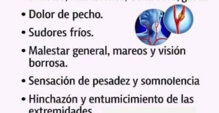 659755335 1494420512239691 5580459030488894604 n