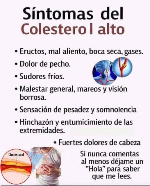 659755335 1494420512239691 5580459030488894604 n