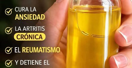 659991476 1513912510295453 7088561549268693447 n