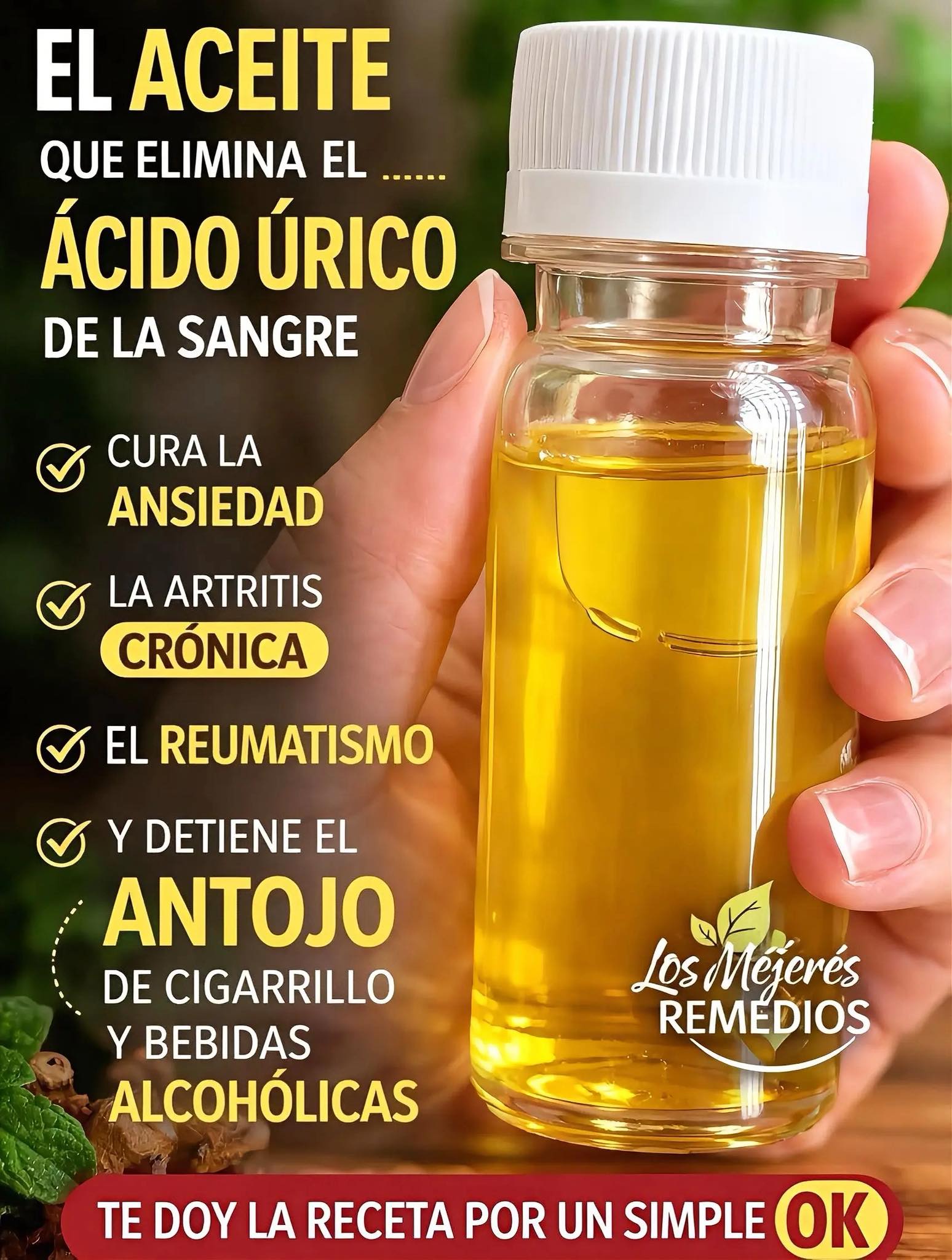 659991476 1513912510295453 7088561549268693447 n