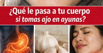 660009262 122152415516971843 8137581625353867626 n