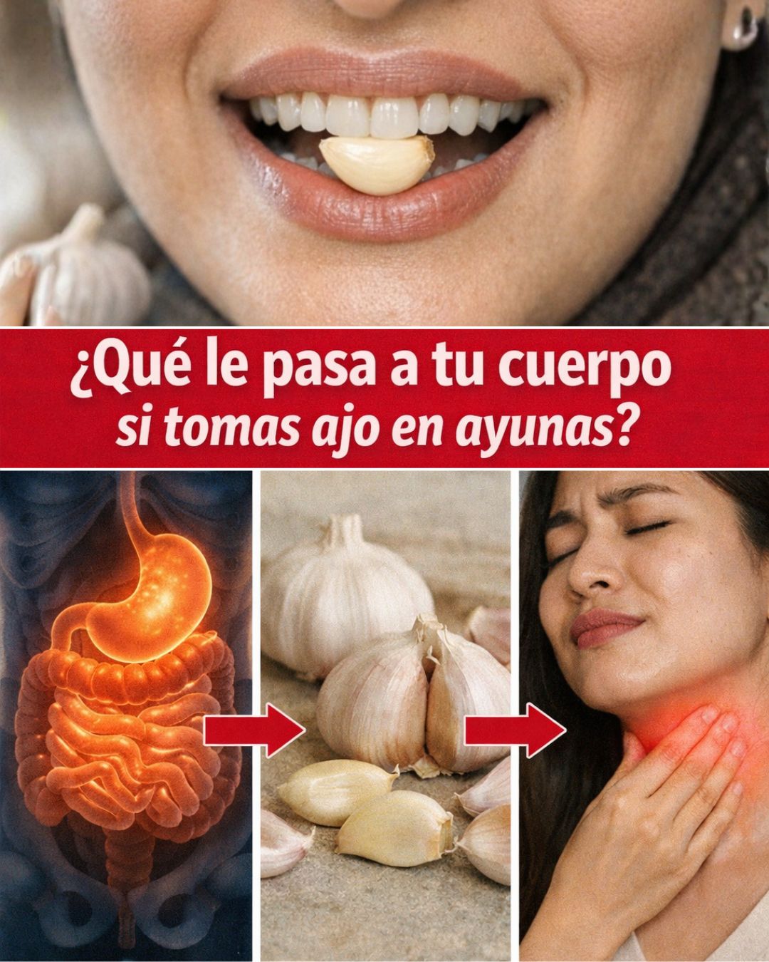 660009262 122152415516971843 8137581625353867626 n