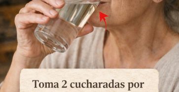 660096873 122152426064971843 2795045431647848822 n