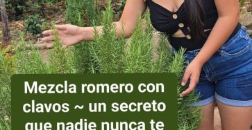 660135617 122231634902115418 2654546295099841939 n