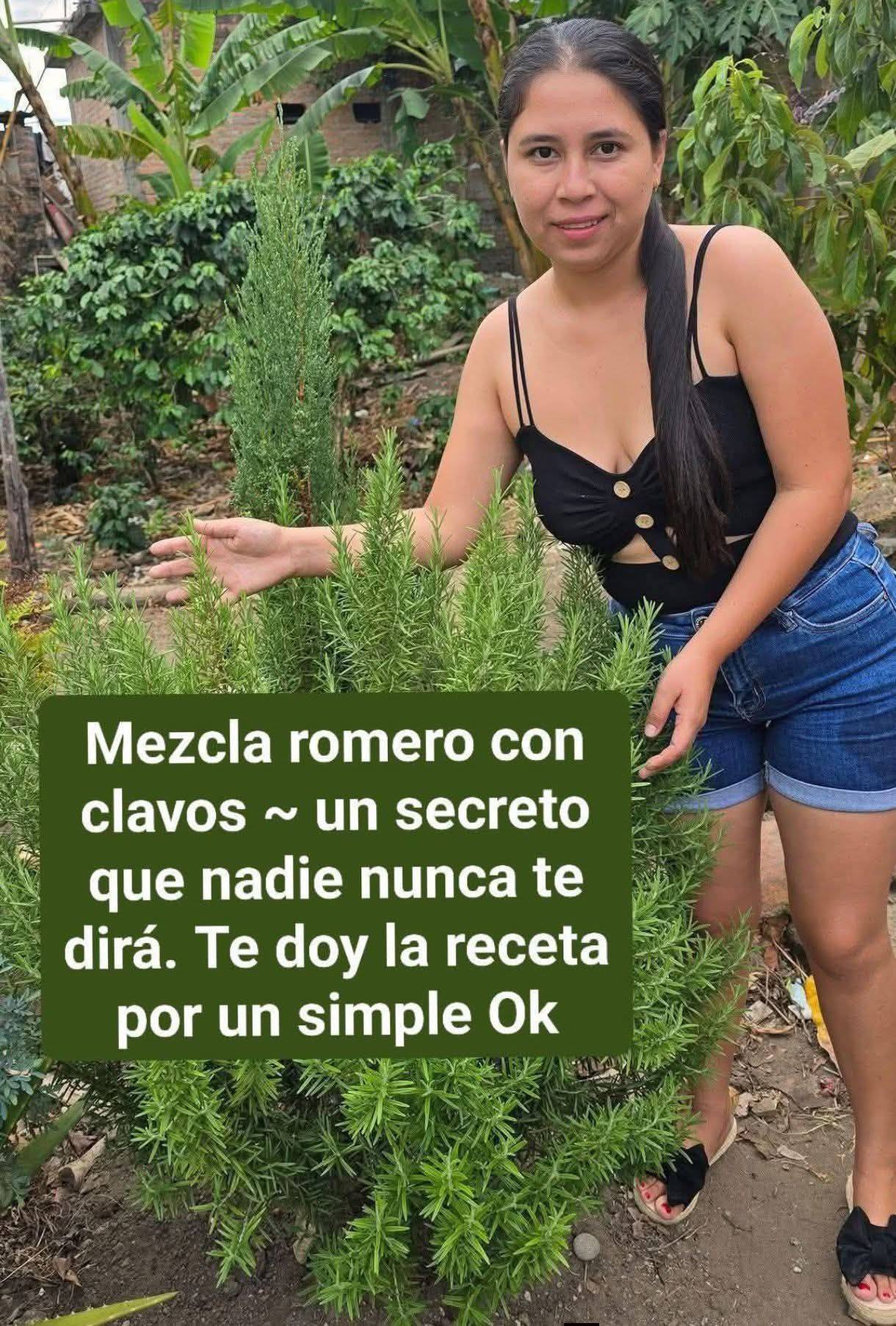 660135617 122231634902115418 2654546295099841939 n