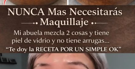 661183002 1582583696730243 8994776860537763232 n