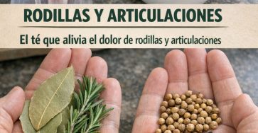 661370974 122161688156943773 8174893819954362700 n