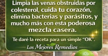 661381218 1513672473652790 2941297728904839818 n