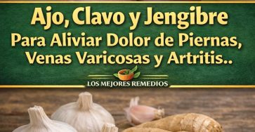 661422186 1514323046921066 3849376689368400600 n