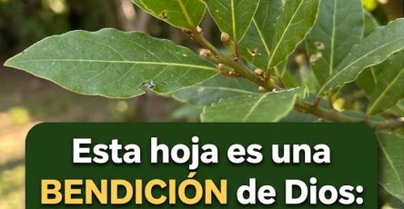 661750765 122162277686943773 5259412759087678943 n