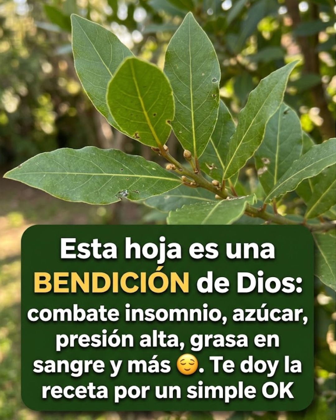 661750765 122162277686943773 5259412759087678943 n