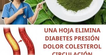 661842179 1550246783198692 3057606676856201547 n