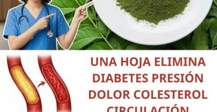 661842179 1550246783198692 3057606676856201547 n