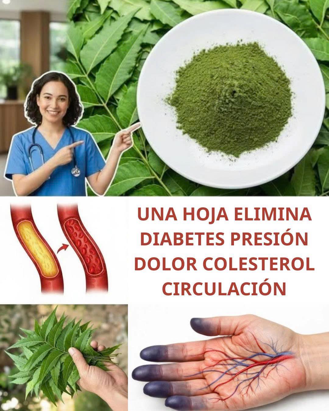 661842179 1550246783198692 3057606676856201547 n