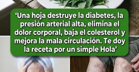 661980291 122162320064943773 1961327783109418319 n