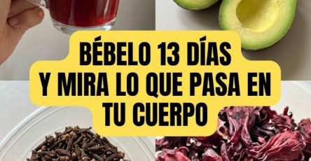 662505845 122168192486924909 7151184990838739171 n