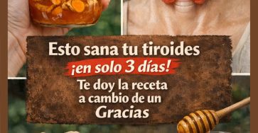 662841787 122152361216971843 2883128611960714563 n