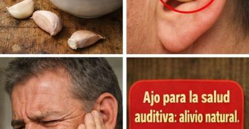 662921304 122152443836971843 121482545759151195 n