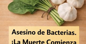 663213773 1588262152829064 683691933577553783 n