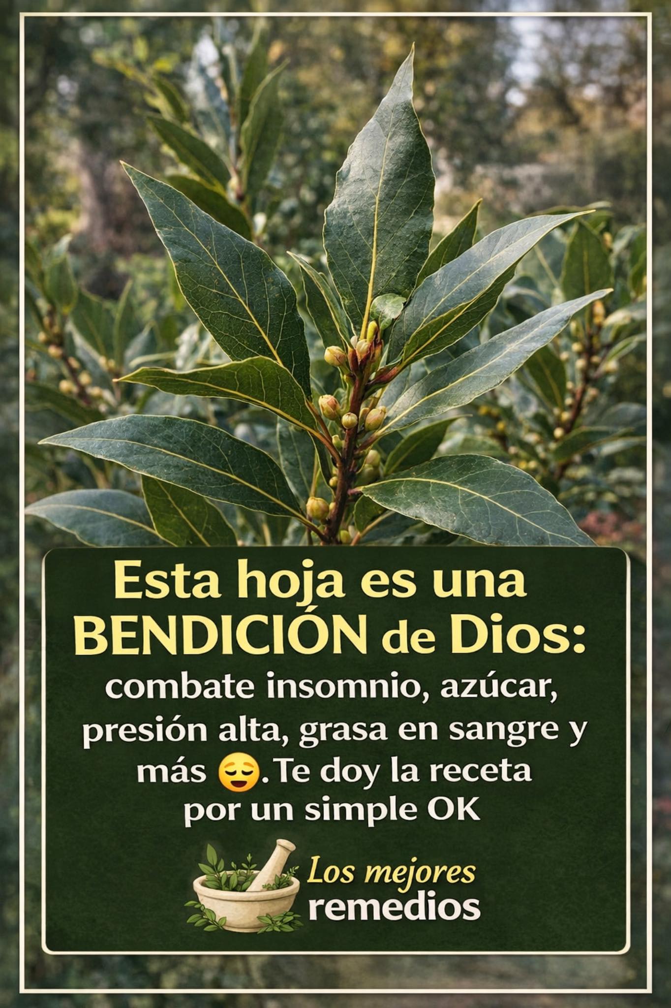 663297851 1517254823294555 9140139535779772128 n