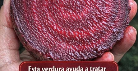 665783838 122162644274943773 6499671419663198665 n