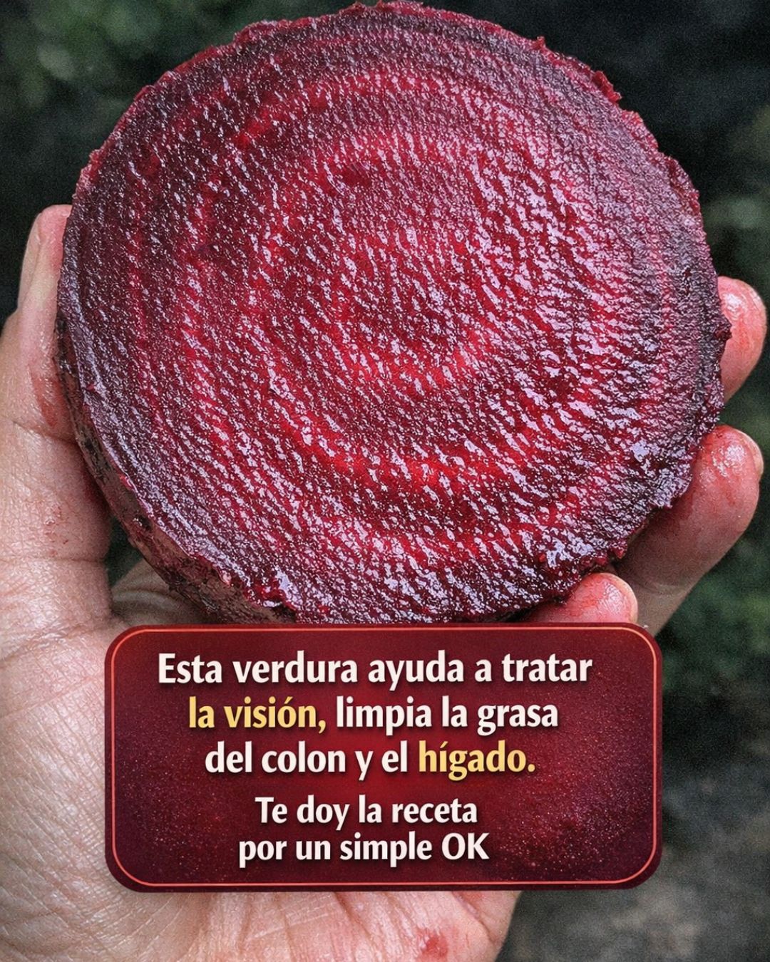 665783838 122162644274943773 6499671419663198665 n