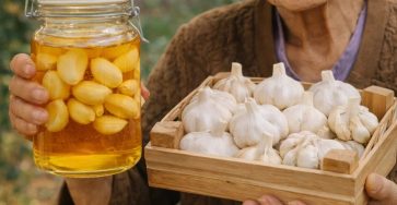 667014111 1588630886125524 4265348168886879479 n