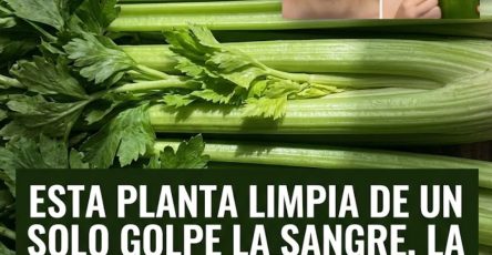 667038091 122153235074971843 205936194589547895 n