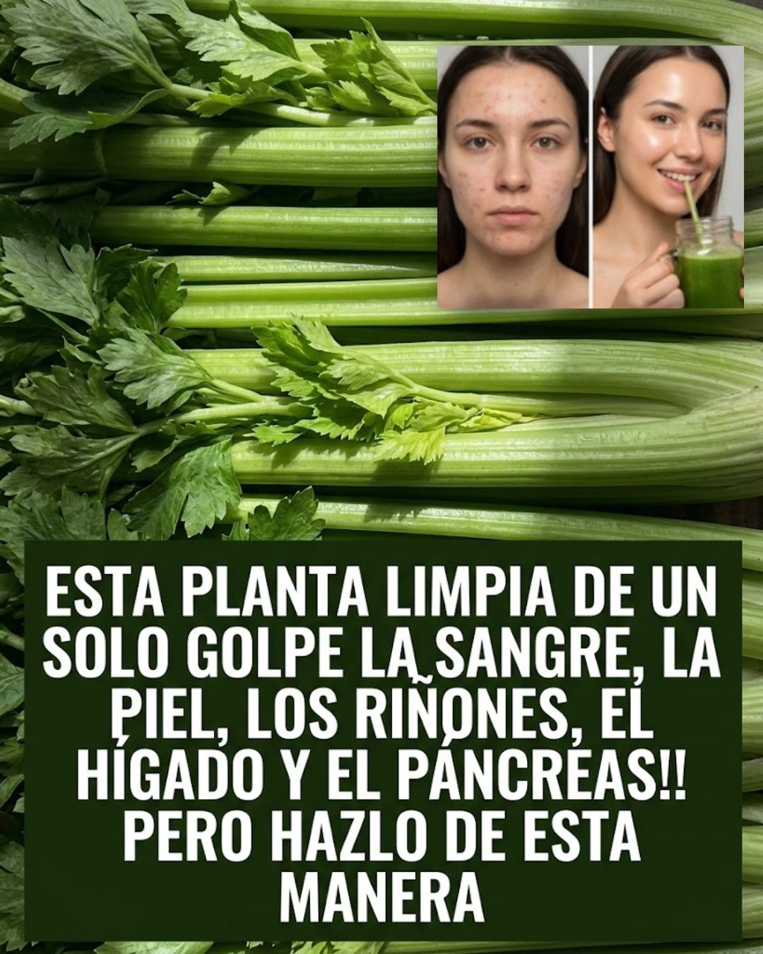 667038091 122153235074971843 205936194589547895 n