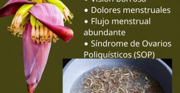 667792359 1588341019487844 5970226210026024874 n