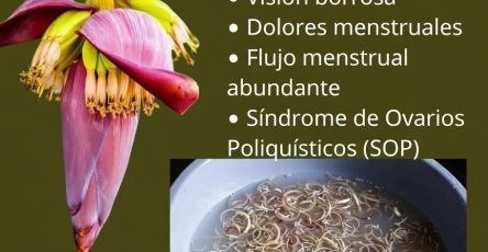 667792359 1588341019487844 5970226210026024874 n